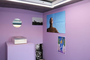 Installation view of common survival