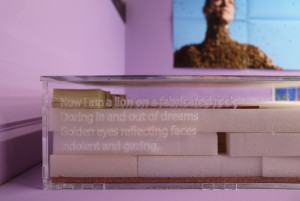 Marius Mason publication in clear container