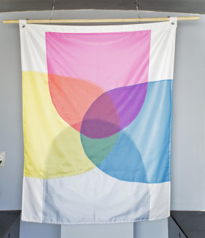 100 Days of Action Resistance Flag