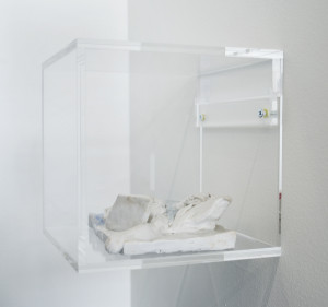 Yelena Zhelezov, Adult Alone Computer Hurt Suffering Technology