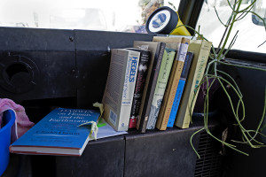Olivia Mole Dud ankress, books