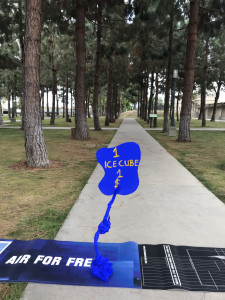 sign: 1 ice cube, $1. Air for free.