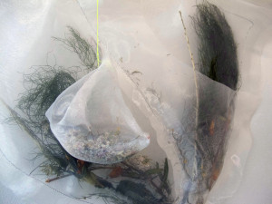 bags holding items. twigs, grasses, beads...